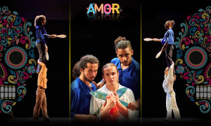 Amor Coltelli